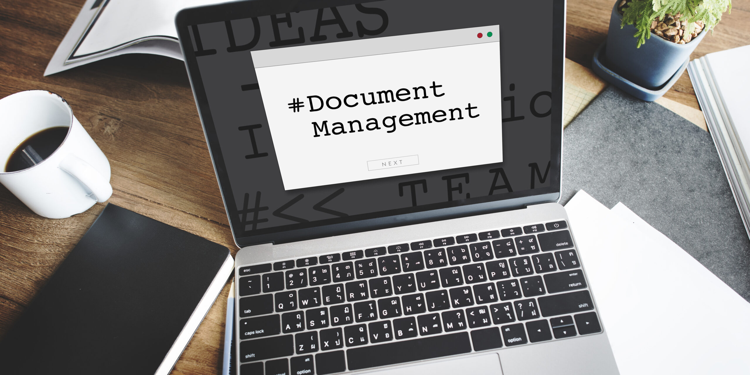 Document